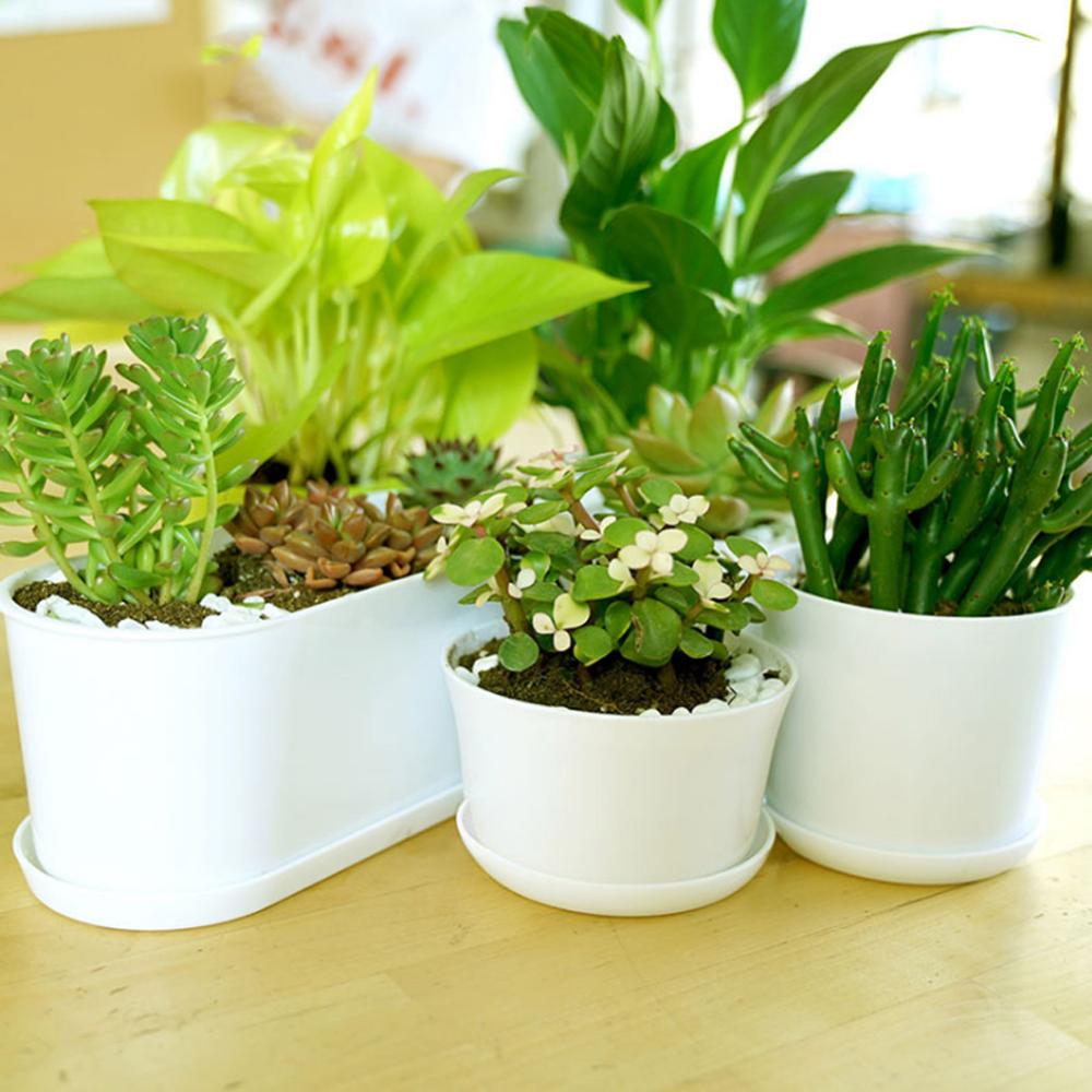 i.Pot Gardin Intérieur